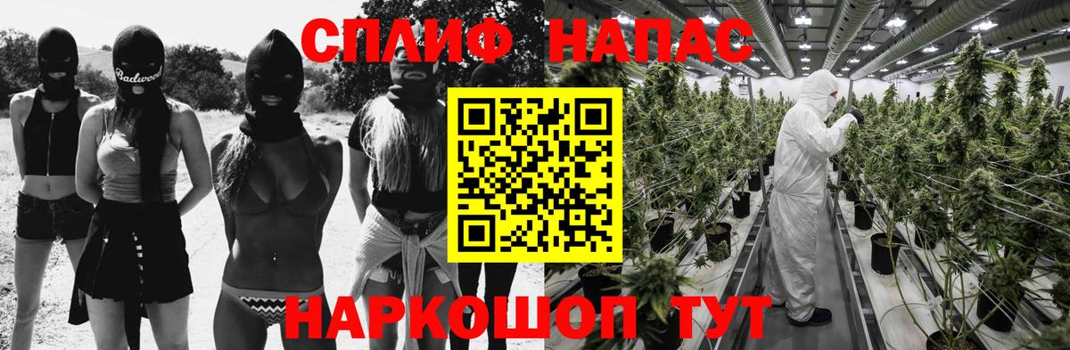 Каннабис конопля Сосновоборск